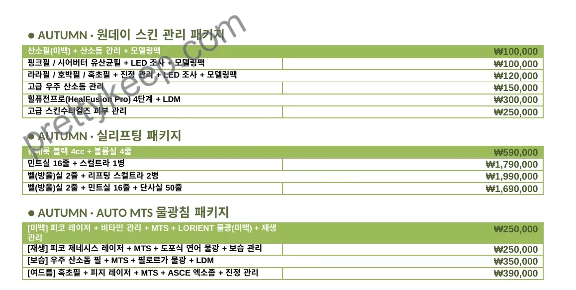 LIJIN · THE FALL SELECTION · 가을 이벤트 4