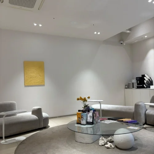 VS라인의원 일산점 photo 5