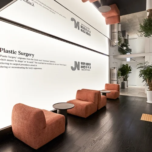 جراحة التجميل JN photo 5