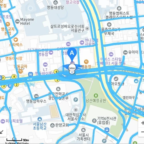 佩蒂特醫生診所明洞分院 photo 11