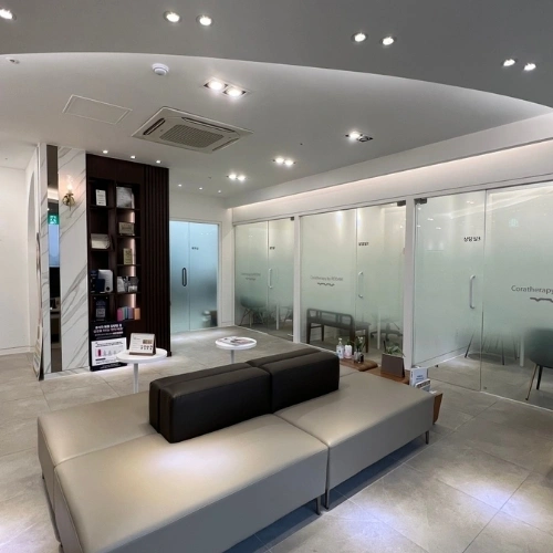 RODAM KOREAN MEDICINE CLINIC Gangnam branch photo 2