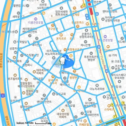 바람부는날에도성형외과의원 photo 13