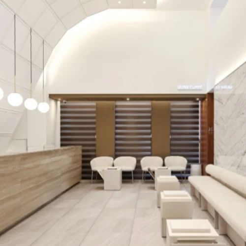 Clinique ULINE photo 9