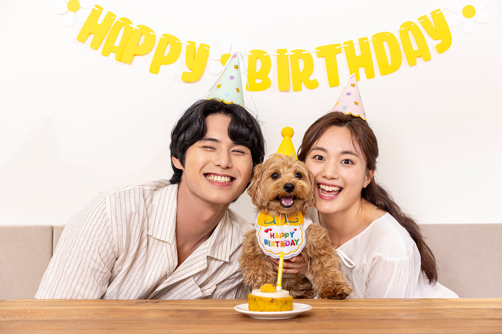 Từ thú cưng đến thành viên gia đình: Sự trỗi dậy của nền kinh tế thú cưng tại Hàn Quốc.