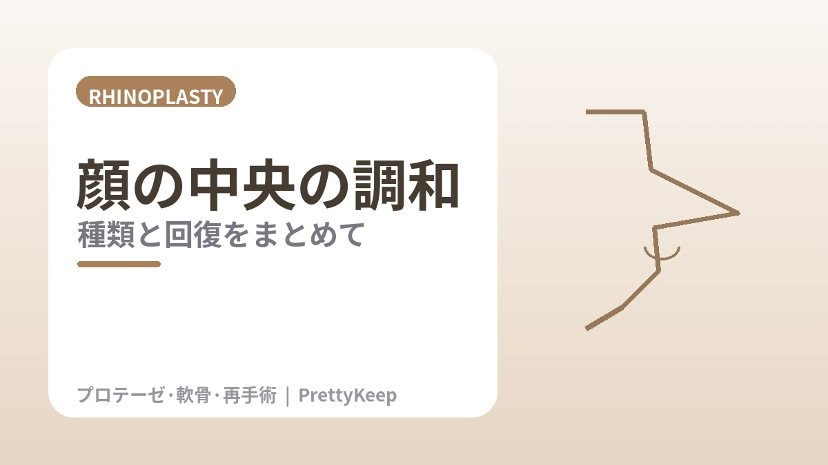 鼻整形 完全ガイド —— 鼻筋・鼻先・わし鼻・短い鼻・再手術 2