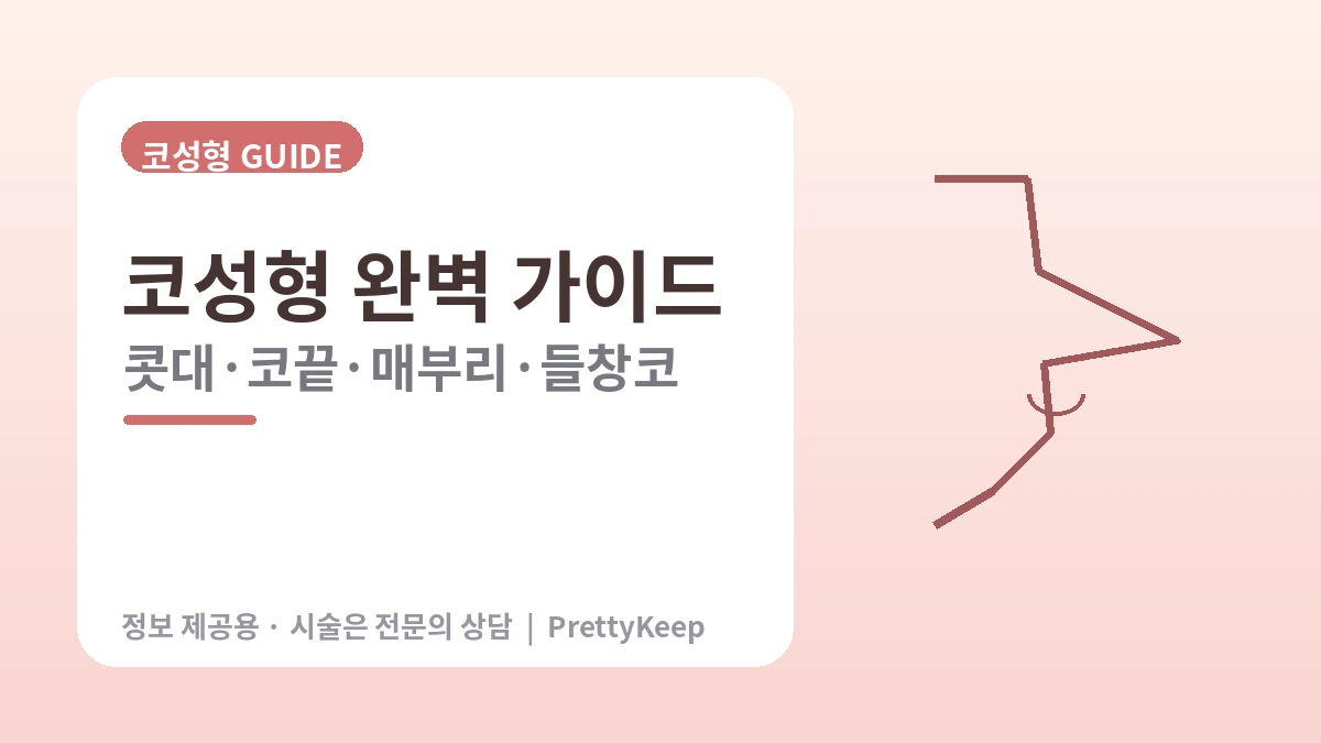 코성형 완벽 가이드 — 콧대·코끝·매부리·들창코·재수술 1