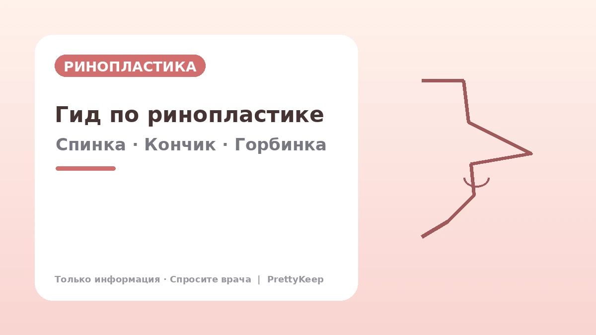 Полное руководство по ринопластике — спинка, кончик, горбинка, короткий нос и коррекция 1