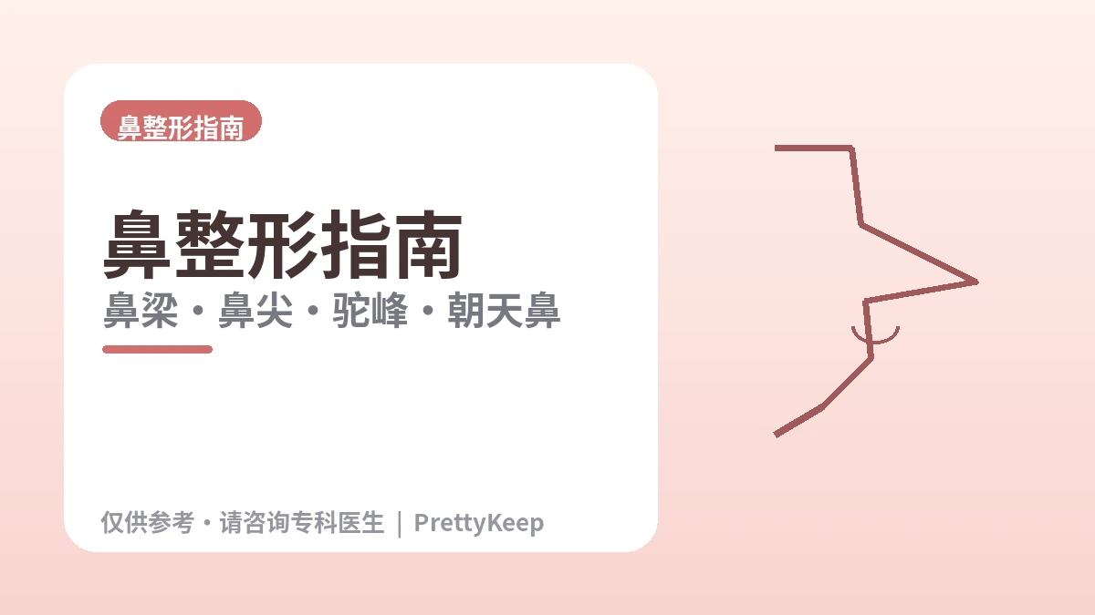鼻整形完全指南 —— 鼻梁·鼻尖·驼峰·朝天鼻·修复