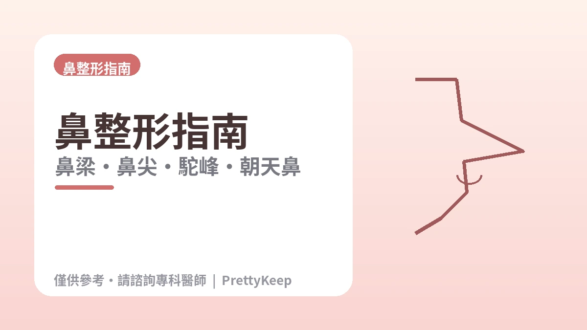 鼻整形完全指南 —— 鼻梁·鼻尖·駝峰·朝天鼻·修復 1