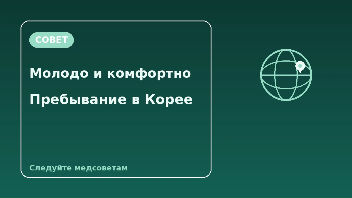 Гид по Корее для вьетнамских гостей — вьетнамская поддержка·кожа/пластика·поколение SNS 3