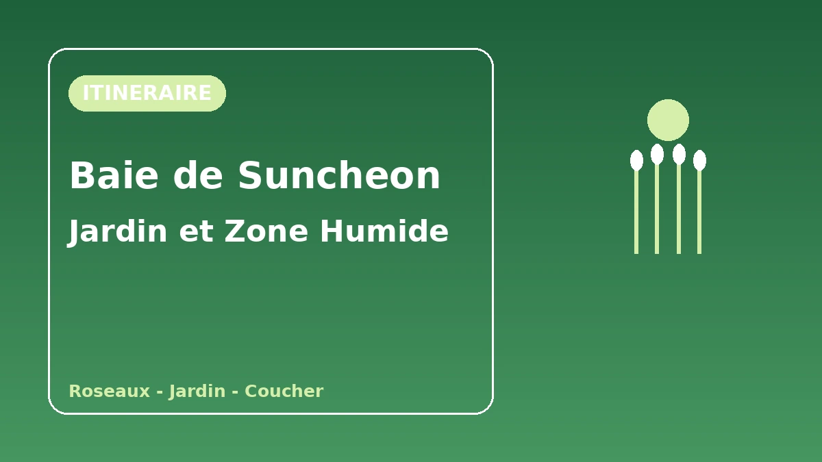 Itinéraire touristique Jardin national de Suncheonman·Zone humide de la baie de Suncheon — Une journée de détente à marcher entre jardins et roselières