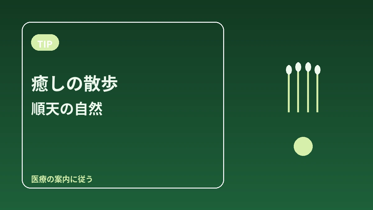 順天湾国家庭園·順天湾湿地 旅行コース — 庭園と葦原を歩く癒しの一日 3