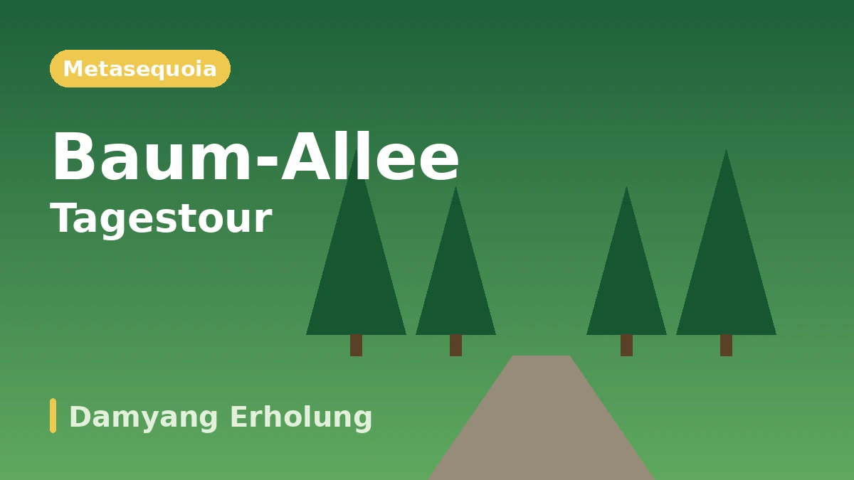 Reiseroute Damyang: Juknokwon·Metasequoia-Allee·Soswaewon — Ein Tag mit Bambuswald und grünen Gärten 2