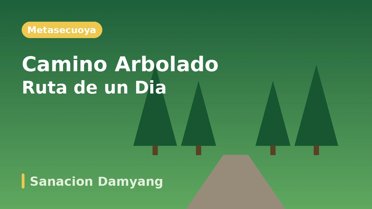 Ruta turística de Damyang: Juknokwon·Camino de Metasecuoyas·Soswaewon — Un día de bosque de bambú y jardines verdes 2