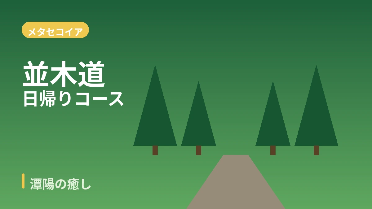 潭陽チュンノグォン·メタセコイア路·瀟灑園 旅行コース — 竹林と緑の庭園の一日 2