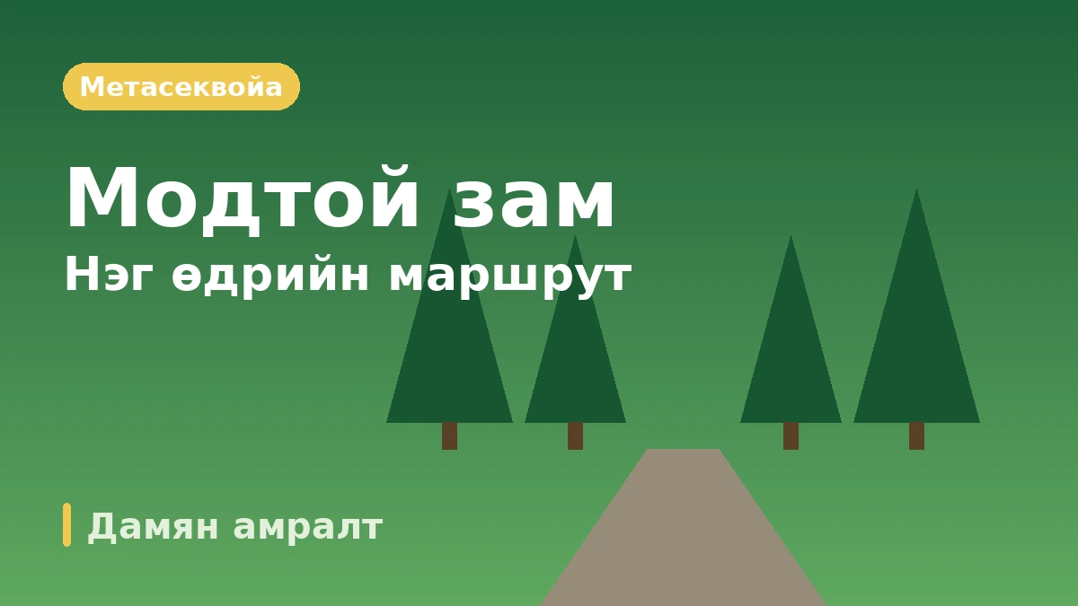 Дамян Жунноквон·Метасеквойа зам·Сосэвон аяллын маршрут — Хулсан ой ба ногоон цэцэрлэгийн нэг өдөр 2