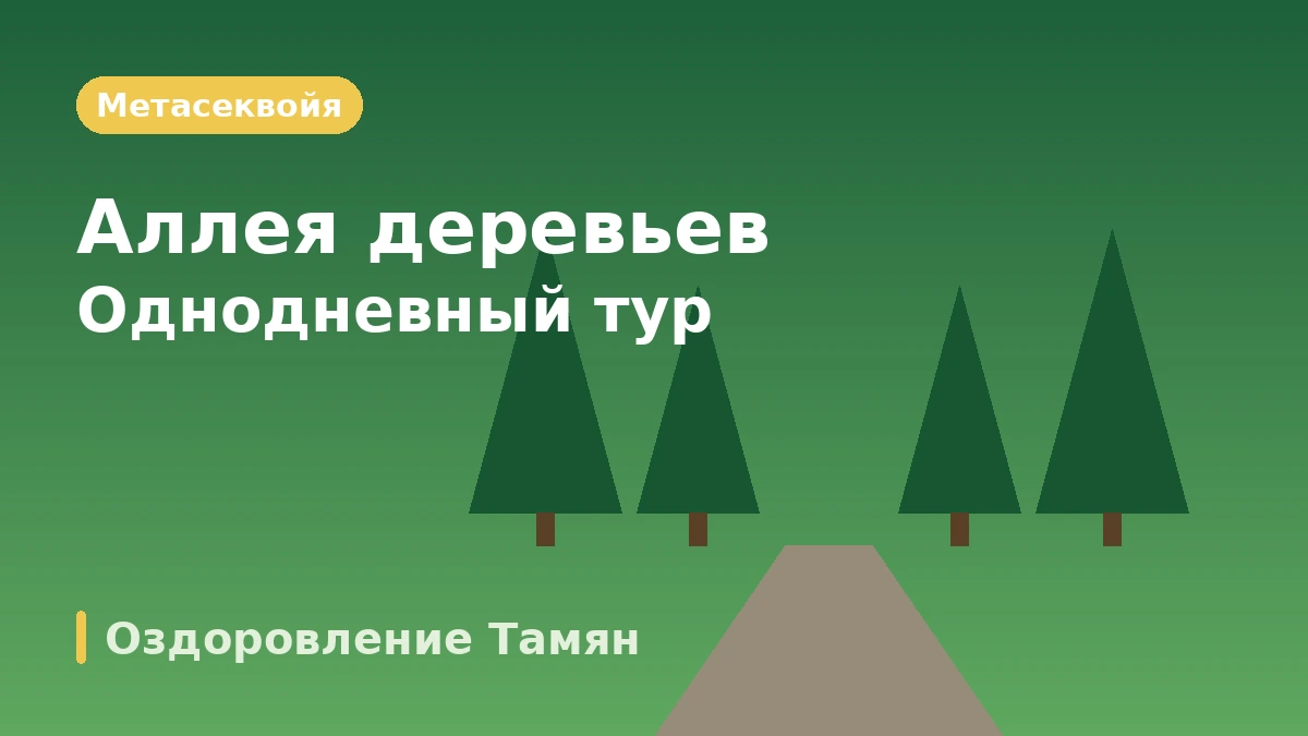 Туристический маршрут Тамян: Чукноквон·Аллея метасеквойи·Совэвон — День бамбукового леса и зелёных садов 2