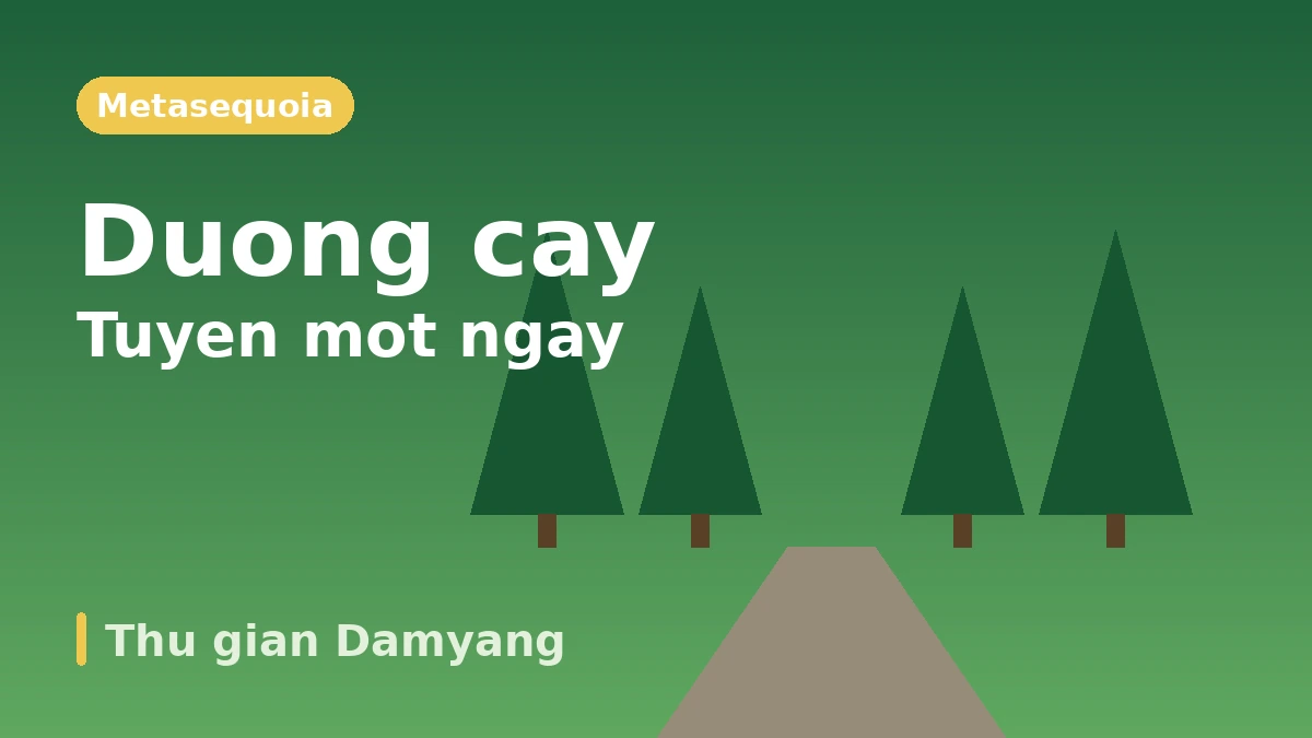 Lo trinh du lich Damyang Juknokwon·Duong Metasequoia·Soswaewon — Mot ngay rung tre va vuon xanh 2