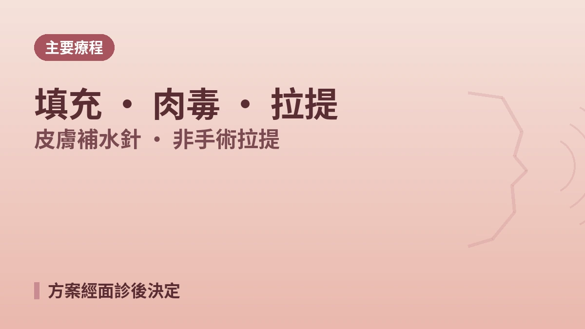首爾江南 T1醫院 外國患者指南 — 醫師團隊·主要療程·預約方式 2