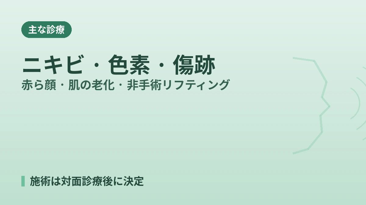 釜山 イ・ヒョンジェ皮膚科医院 外国人患者ガイド — 皮膚科専門医·主な診療·予約方法 2