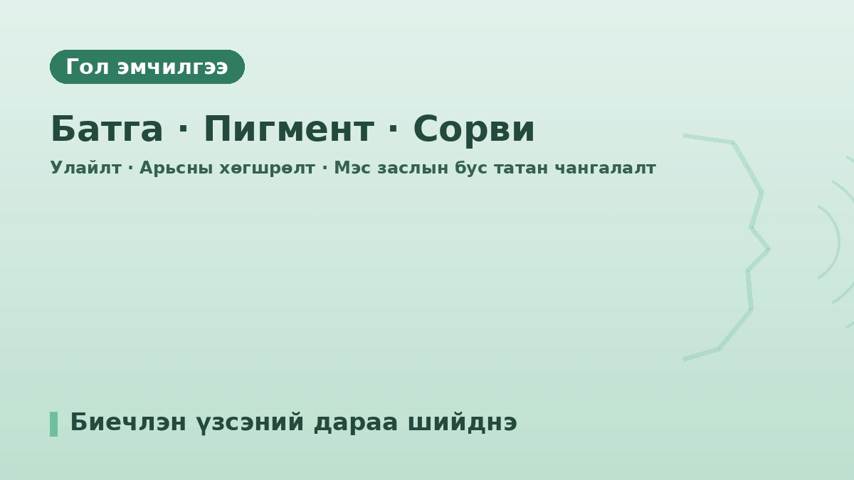 Пусан LEE HYUN JAE арьсны эмнэлэг — Гадаад иргэдэд зориулсан гарын авлага: Арьс судлалын мэргэжлийн эмч, үндсэн үйлчилгээ, захиалгын арга 2