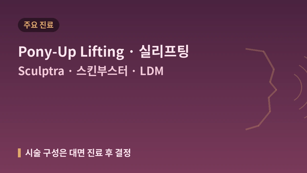 서울 신논현 히어피부과 방문 가이드 — 피부과 전문의·리프팅·피부 재생·외국인 예약 안내 2