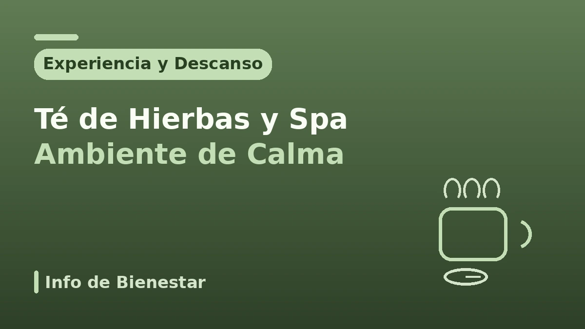 Guía de bienestar hanbang para medicina estética — Sanación en el período de recuperación y experiencia hanbang 2