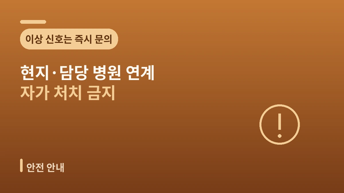귀국 후 팔로업 가이드 — 안전한 사후관리와 현지 연계 3