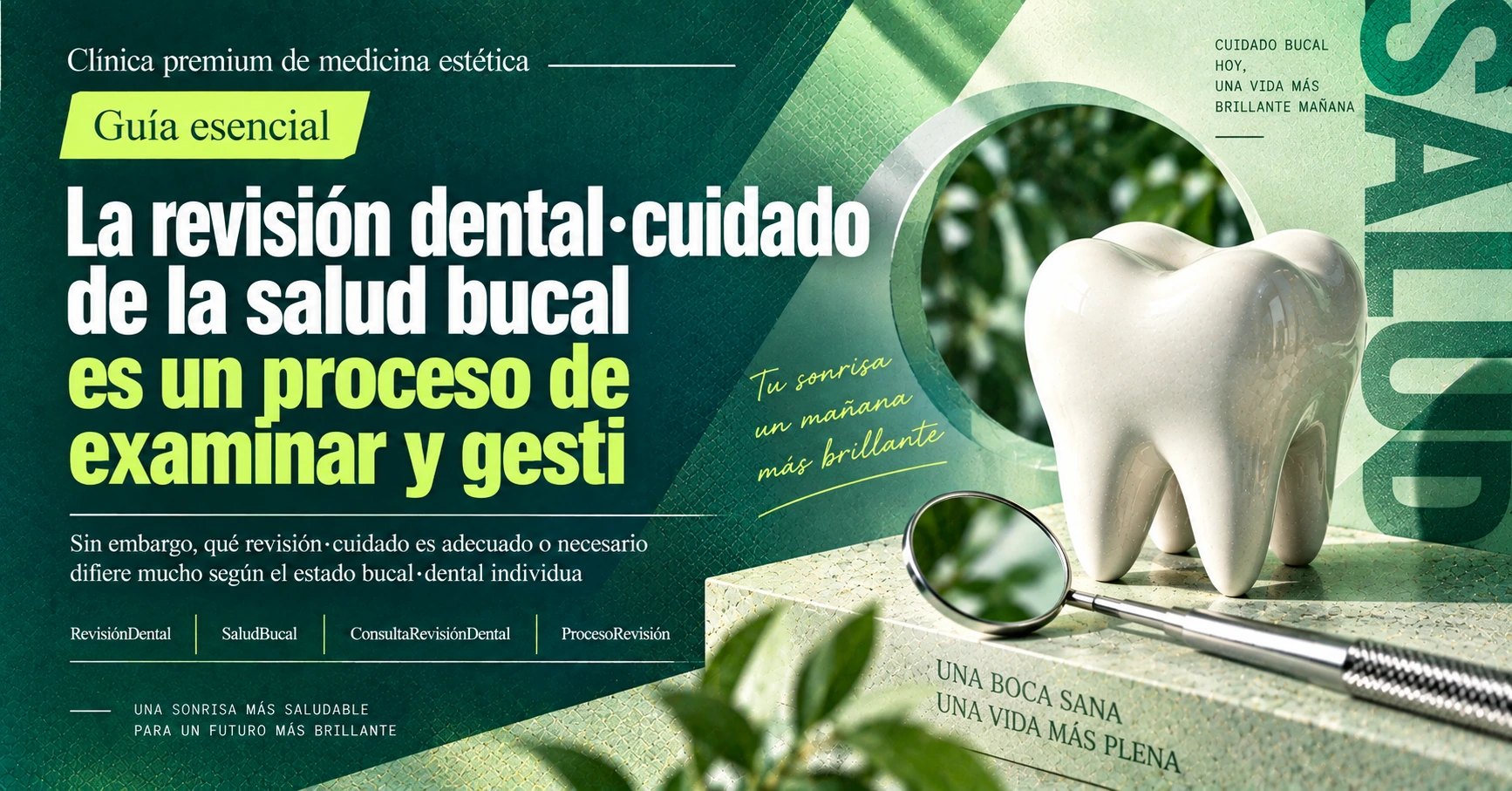 Guía de Revisión Dental·Salud Bucal —— Preparación desde la Revisión hasta el Cuidado 3