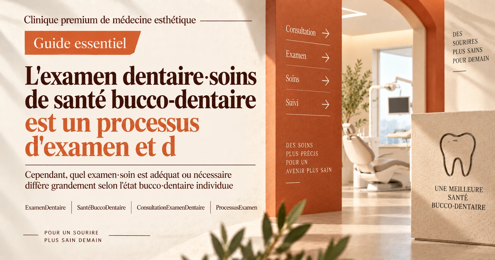 Guide d'examen dentaire·santé bucco-dentaire —— Préparation de l'examen aux soins 3