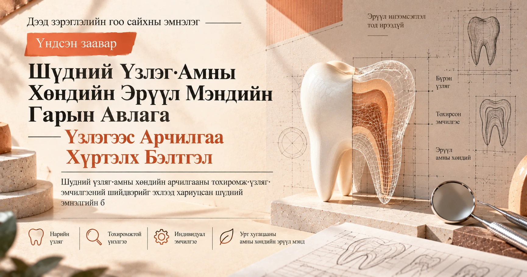 Шүдний Үзлэг·Амны Хөндийн Эрүүл Мэндийн Гарын Авлага —— Үзлэгээс Арчилгаа Хүртэлх Бэлтгэл