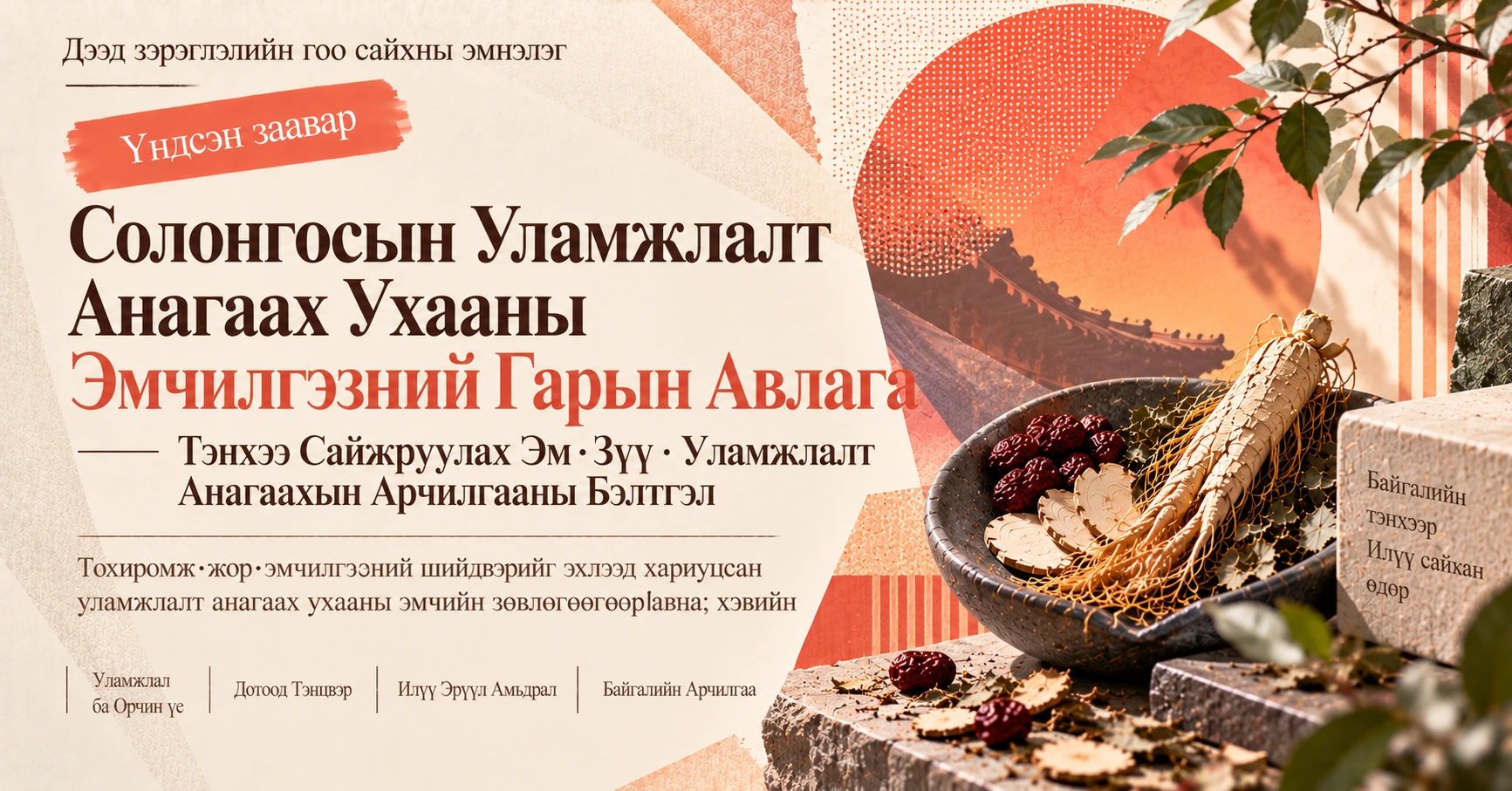 Солонгосын Уламжлалт Анагаах Ухааны Эмчилгээний Гарын Авлага —— Тэнхээ Сайжруулах Эм·Зүү·Уламжлалт Анагаахын Арчилгааны Бэлтгэл