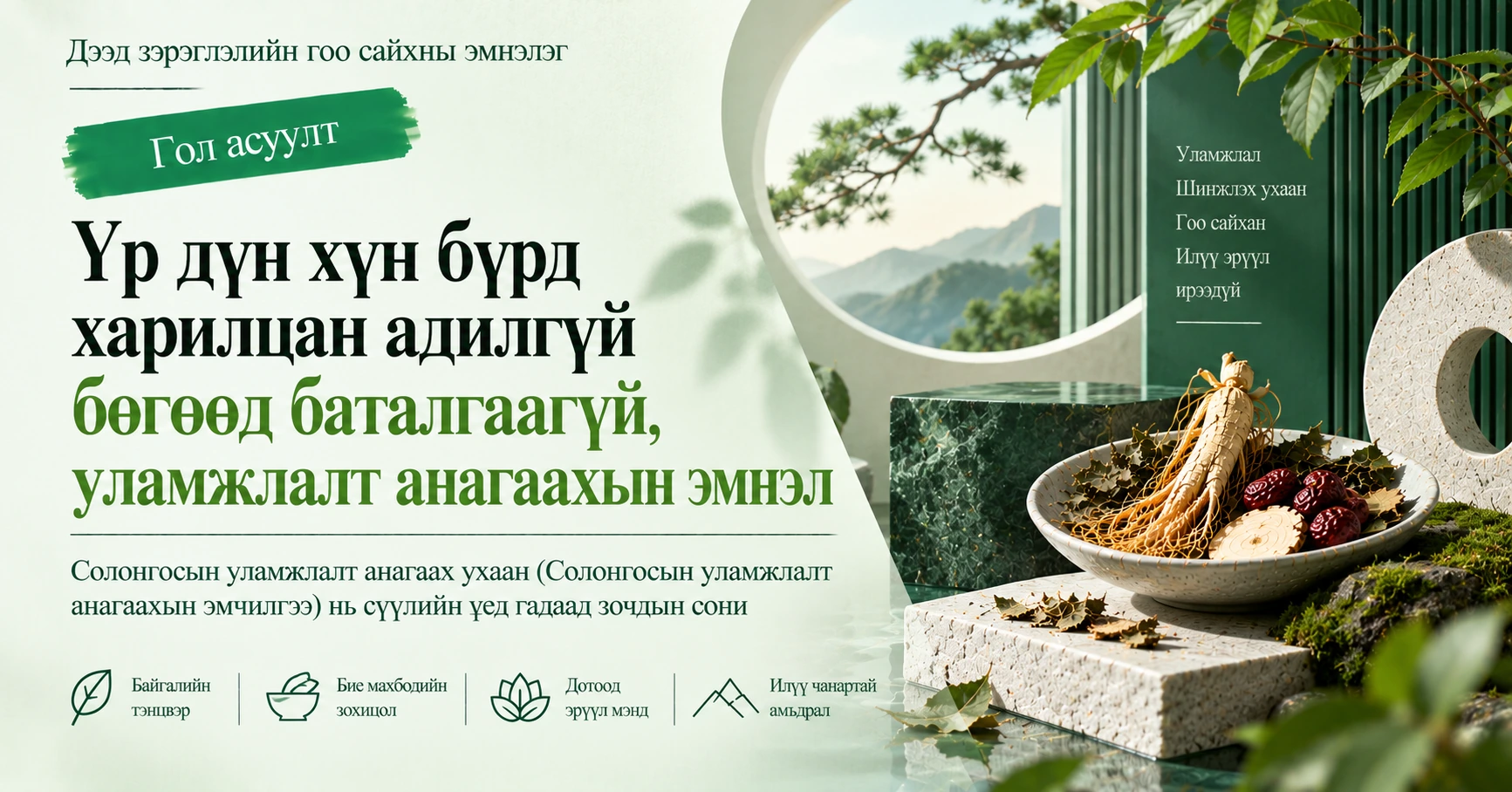 Солонгосын Уламжлалт Анагаах Ухааны Эмчилгээний Гарын Авлага —— Тэнхээ Сайжруулах Эм·Зүү·Уламжлалт Анагаахын Арчилгааны Бэлтгэл 2