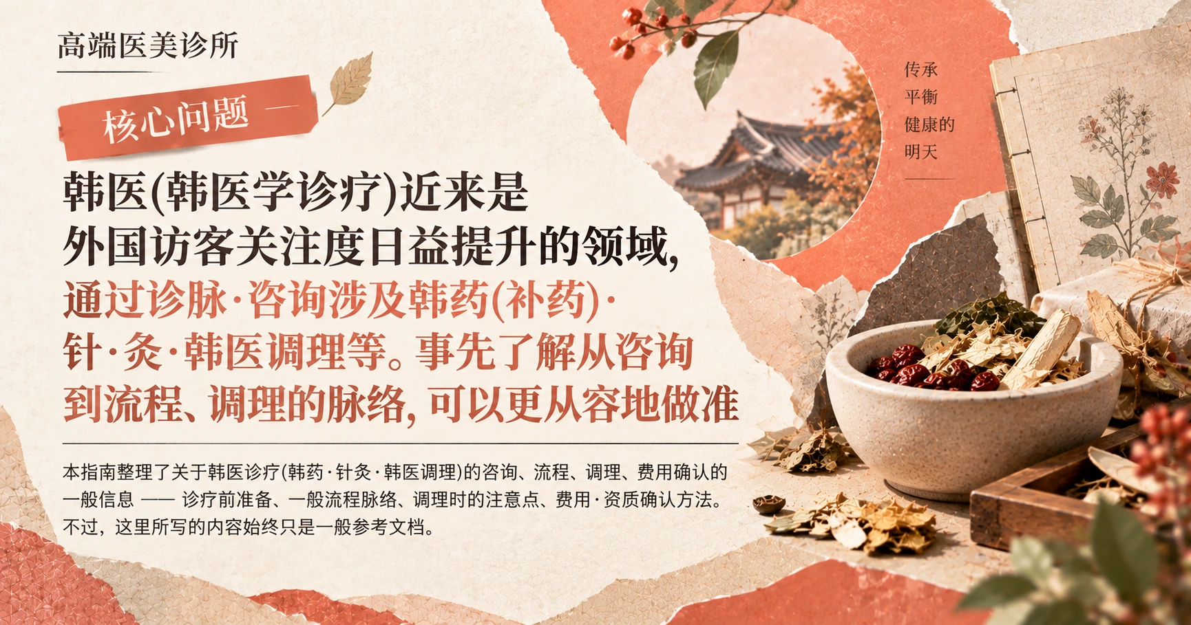 韩医诊疗指南 —— 补药·针灸·韩医调理的准备 2