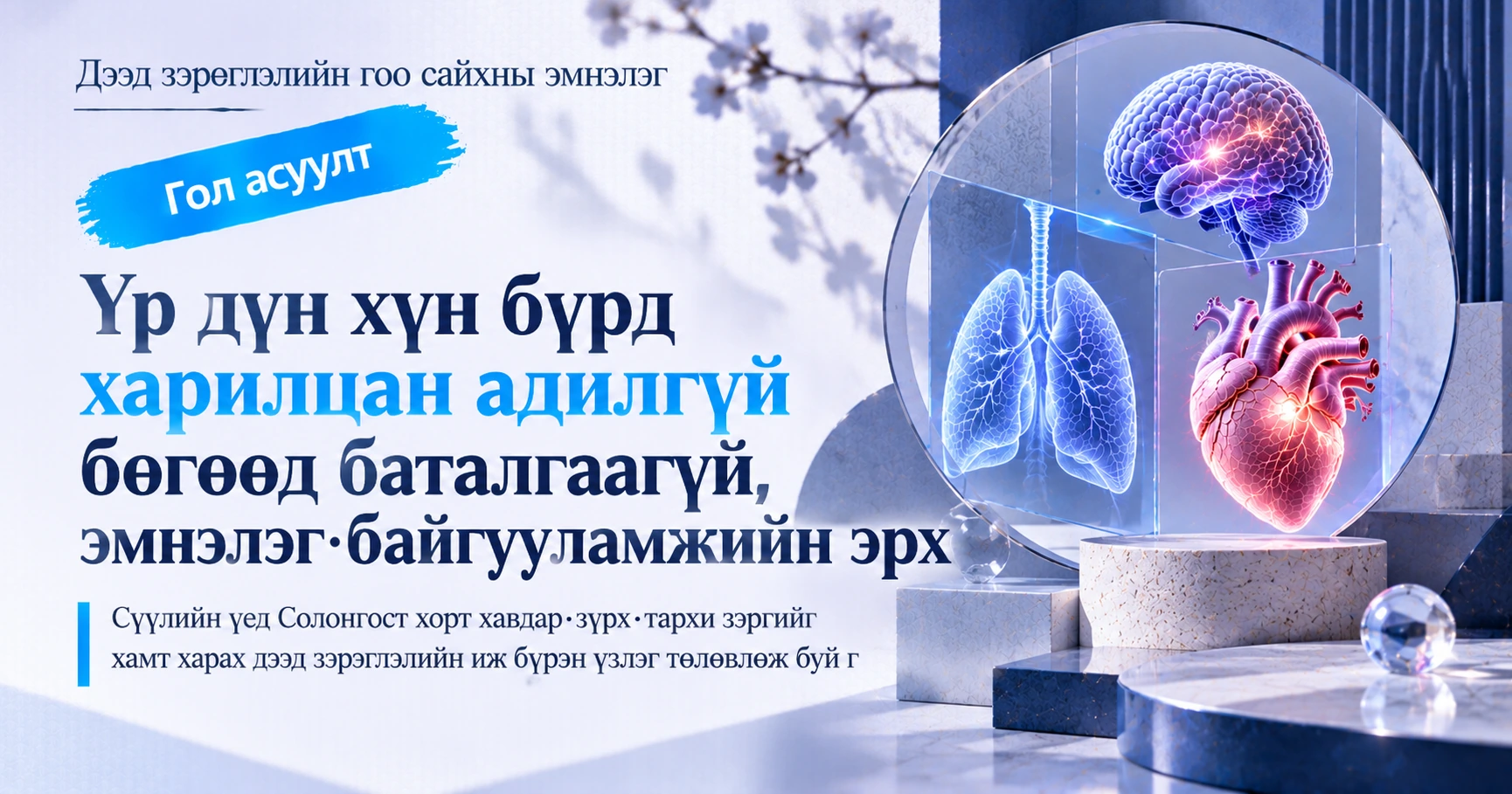 Дээд зэрэглэлийн нарийвчилсан үзлэгийн гарын авлага —— Хорт хавдар·зүрх·тархины иж бүрэн үзлэгийн бэлтгэл 2