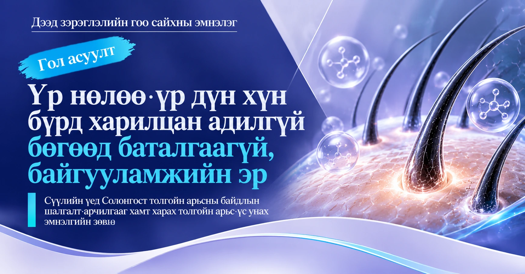 Толгойн арьс·үс унах эмнэлгийн гарын авлага —— Толгойн арьс арчилгааны зөвлөгөөний бэлтгэл 2