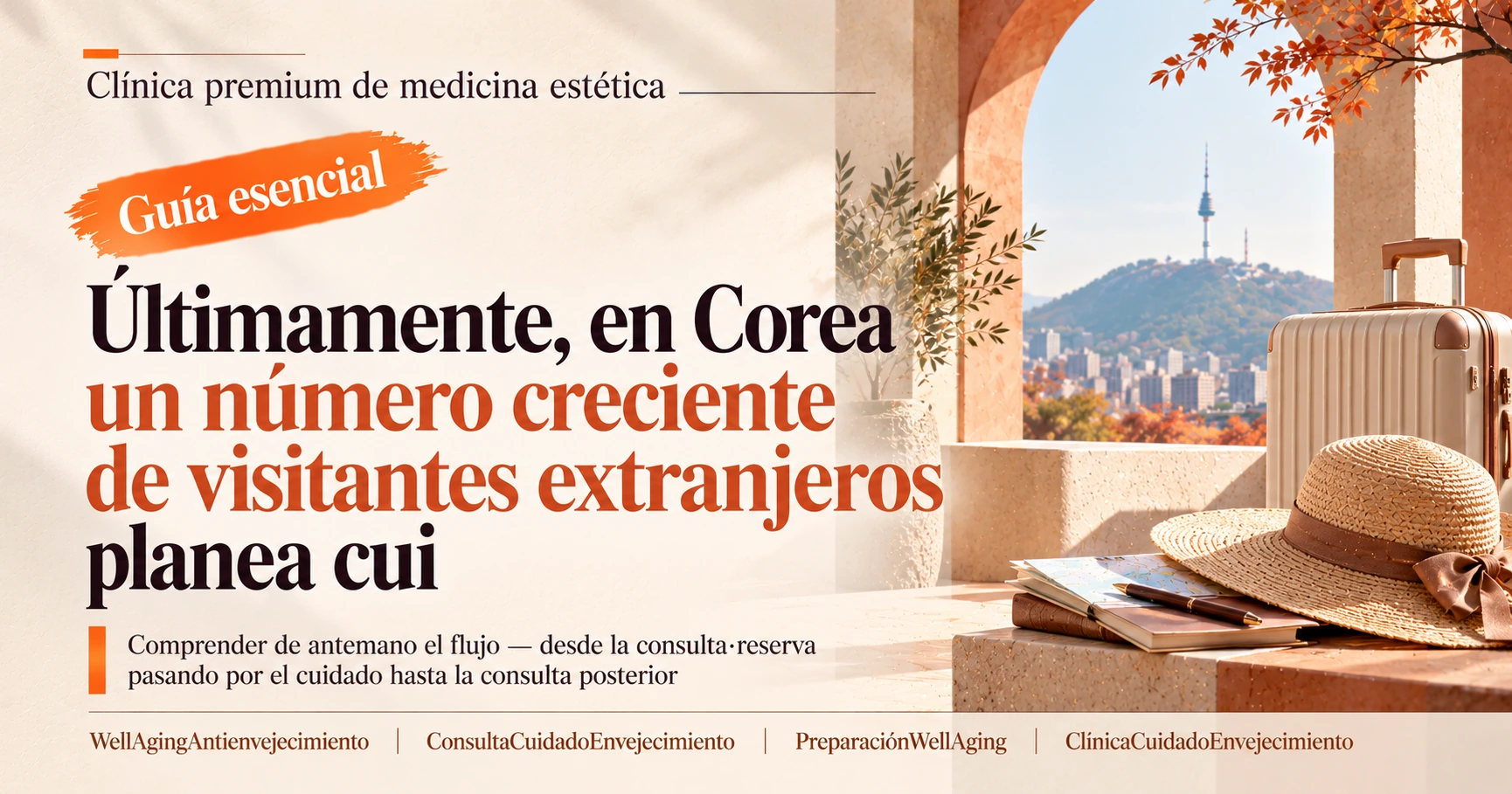 Guía de well-aging·antienvejecimiento —— Preparación de una consulta de cuidado del envejecimiento 3