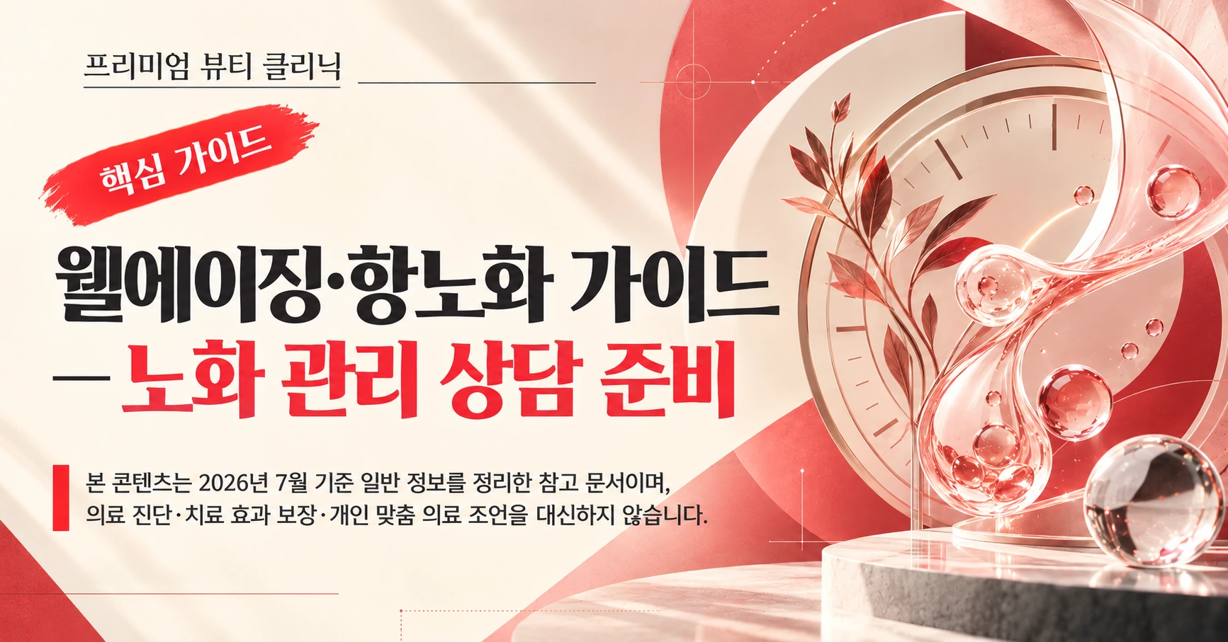 웰에이징·항노화 가이드 — 노화 관리 상담 준비
