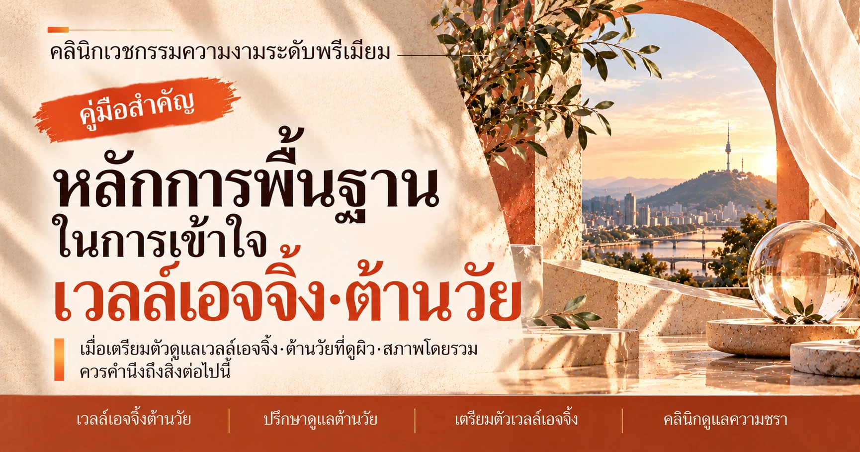 คู่มือเวลล์เอจจิ้ง·ต้านวัย —— การเตรียมตัวปรึกษาดูแลความชรา 3